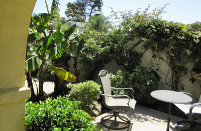 Bananen Gartenhof